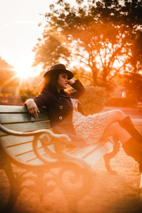 Free stock photo of bench, garden, on