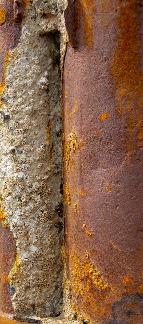 Free stock photo of grunge, port, rust