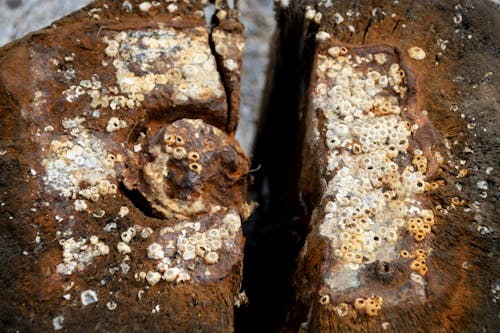 Free stock photo of grunge, rust, rusted
