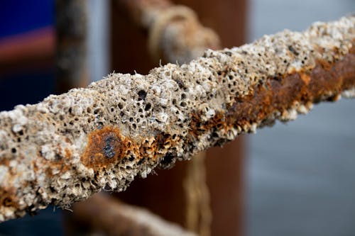 Free stock photo of grunge, rust, rusted