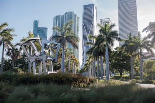 Green Grass and Palm Trees Near High Rise Buildings