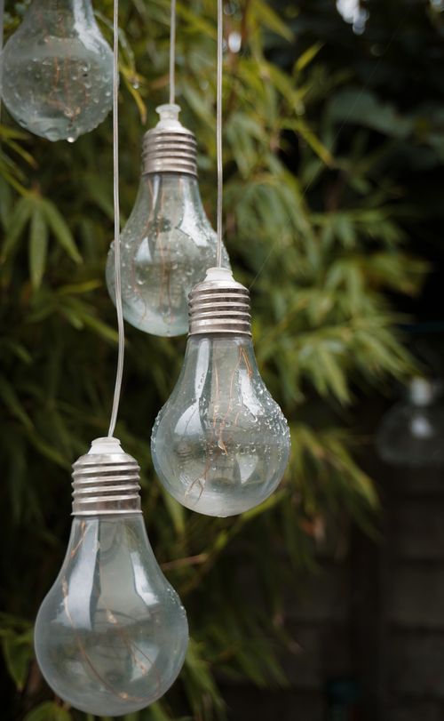 Free Decorative vintage light bulbs with raindrops hanging in a lush outdoor setting. Stock Photo