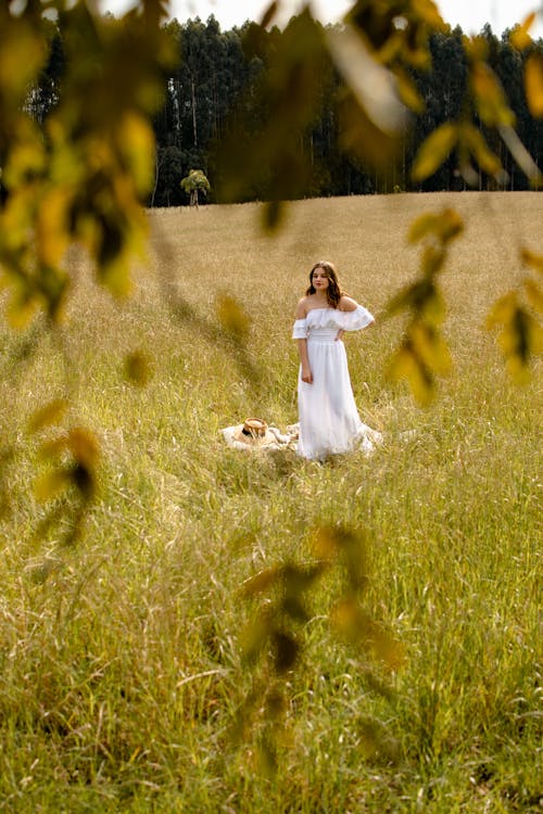 Immagine gratuita di campo aperto, donna, erba