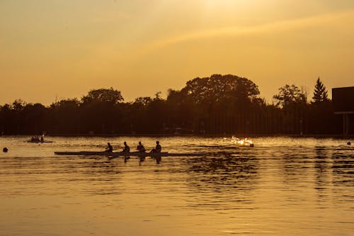 Immagine gratuita di alberi, barca, corpo d'acqua