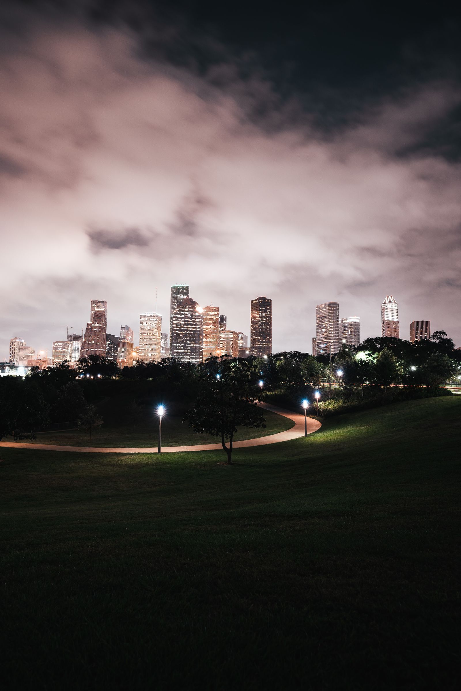 Houston green park with city buildings illuminated at night