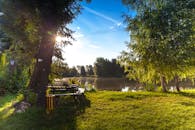 维蒂切瑙湖畔的树木沐浴在阳光中，呈现出一片宁静的早晨场景