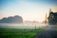 在德国维蒂什瑙，探索日出时宁静的雾中乡村景观