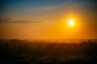 德国科尼格斯瓦塔薄雾田野上，日落令人惊叹，洒下金色的光芒