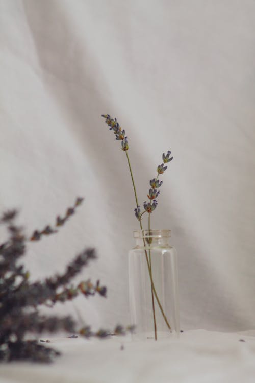 Stems of Blue Flowers in a Clear Glass Bottle 