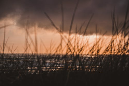 Foto d'estoc gratuïta de capvespre, duna, dunes de sorra