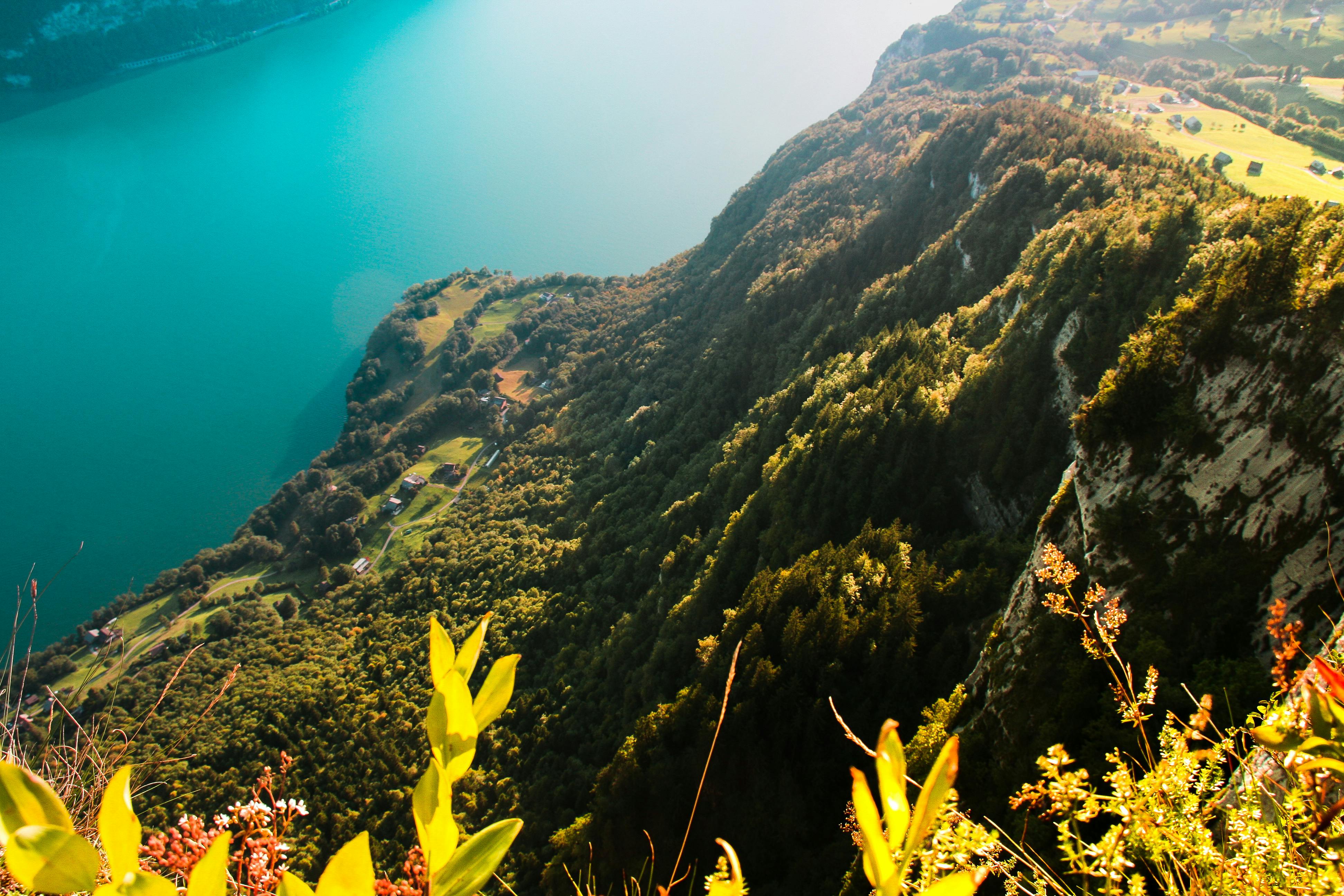 Foto gratuita di acqua, alberi, alpi