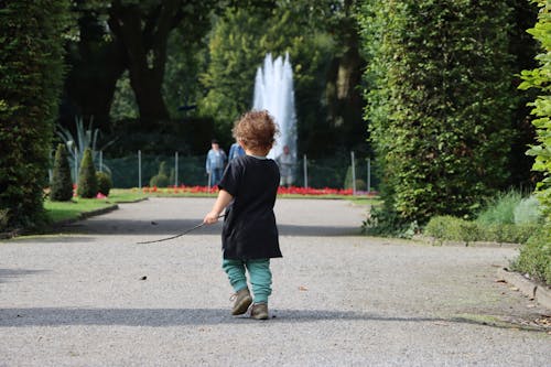 공원, 어린이의 무료 스톡 사진