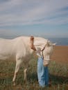 女子在海边拥抱白马的宁静场景，传达出户外宁静的和谐