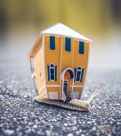 Free Microphotography of Orange and Blue House Miniature on Brown Snail's Back Stock Photo
