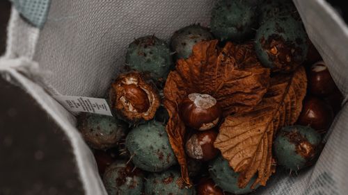 Free Close-up of chestnuts and dried leaves in a bag, capturing an autumn harvest feel. Stock Photo