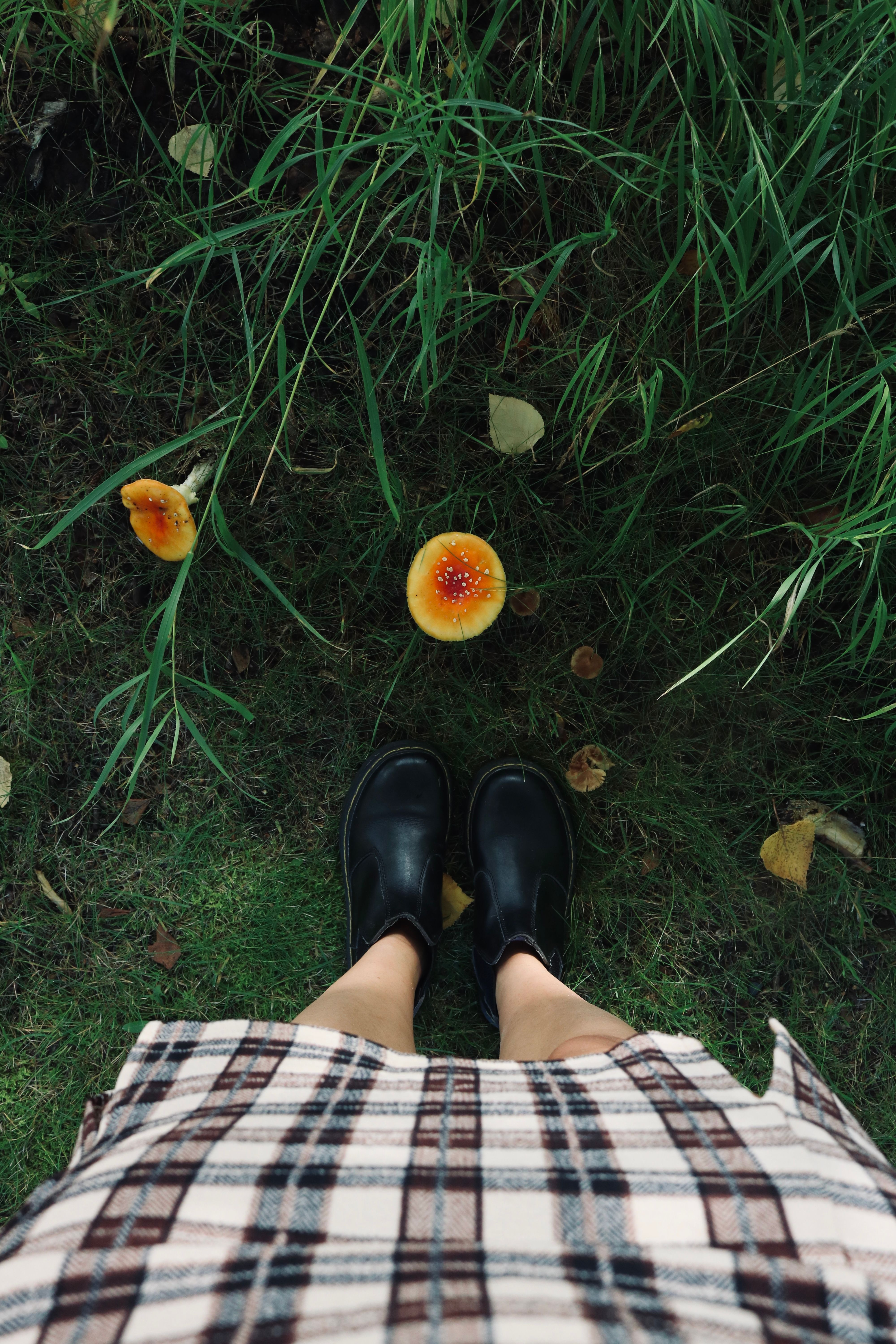 Stylish boots amidst green grass and vibrant mushrooms in an autumn setting.