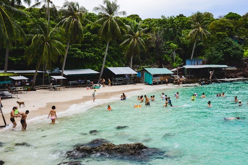 Безкоштовне стокове фото на тему «берег, відпустка, кокосові пальми»
