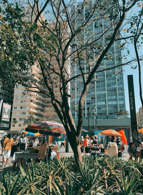 Základová fotografie zdarma na téma budova, centrum města, lidé