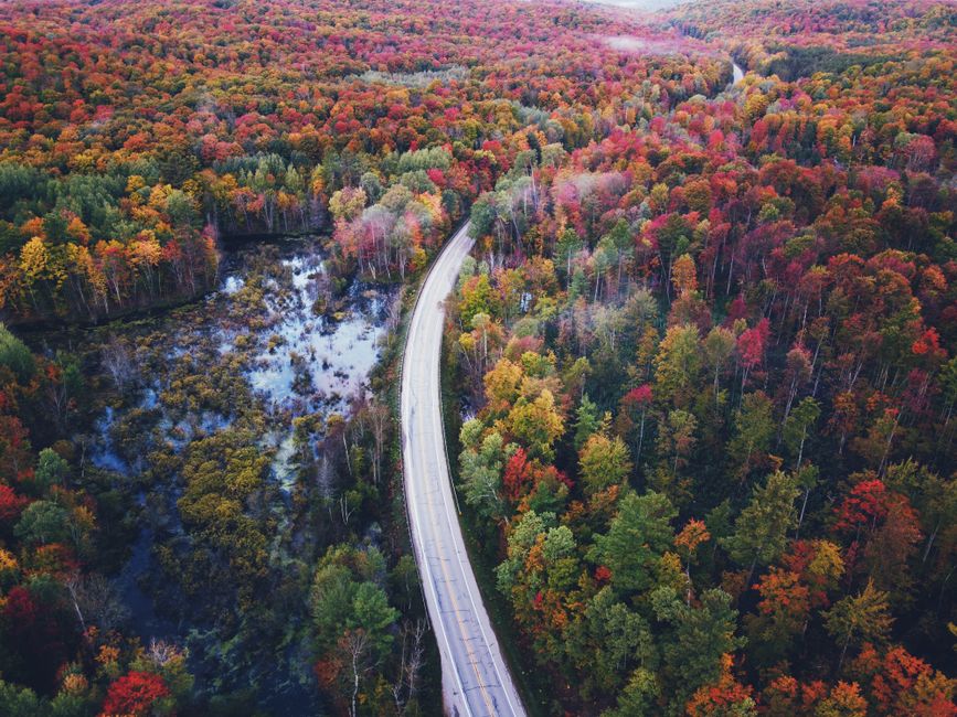 Incredible Sunset Helicopter Experience in Downtown Detroit Review: The Ultimate Guide to Michigan's Most Breathtaking Aerial Adventure Review 2026 - Drone shot of a scenic road winding through a colorful autumn forest in Boyne Falls, Michigan.