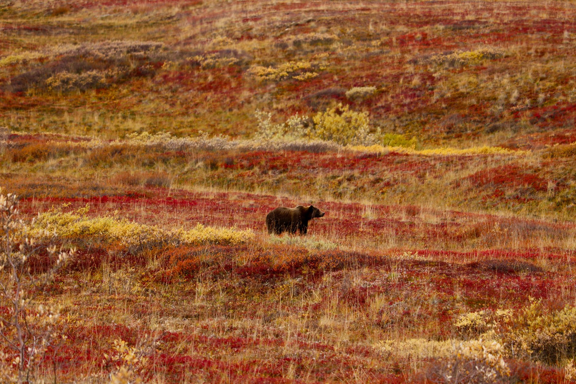 Alaska, USA