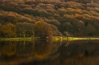 宁静的秋季，树木倒映在平静的湖水中，尽显大自然之美