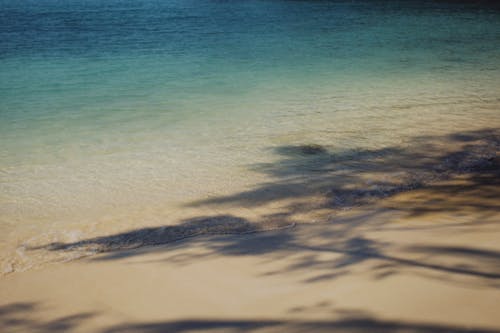 Foto profissional grátis de água azul-turquesa, areia branca, litoral