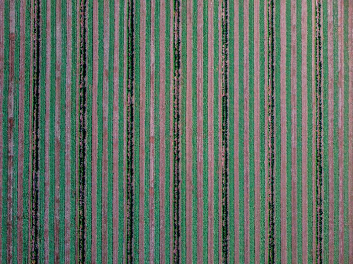 Aerial view of striped crop rows, photo by JEFFERSON SPYPLANE on Pexels
