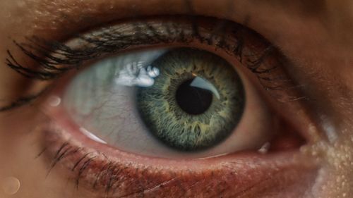 Free Close-up view highlighting the intricate details of a human eye with vivid colors and texture. Stock Photo