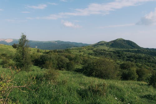 Fotos de stock gratuitas de al aire libre, cerros, césped