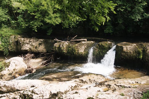 Peaceful small waterfall cascading over rocks in a dense green forest, perfect for nature enthusiasts.