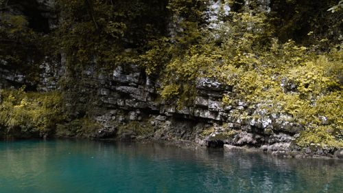 Free Tranquil creek surrounded by lush greenery and rocky formations in a forest setting. Stock Photo