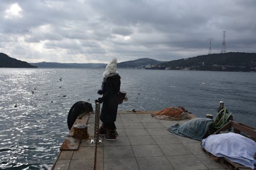 Free stock photo of bosphorus, fortress, jetty