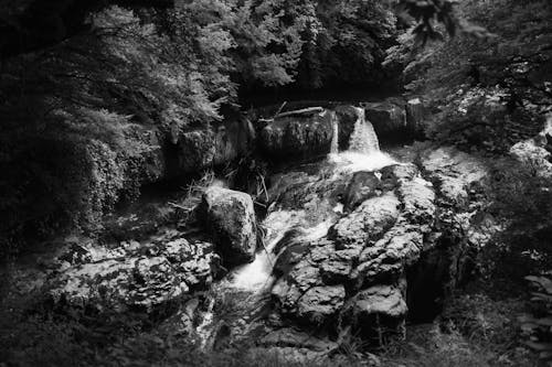 Grayscale Photo of Waterfalls in the Forest