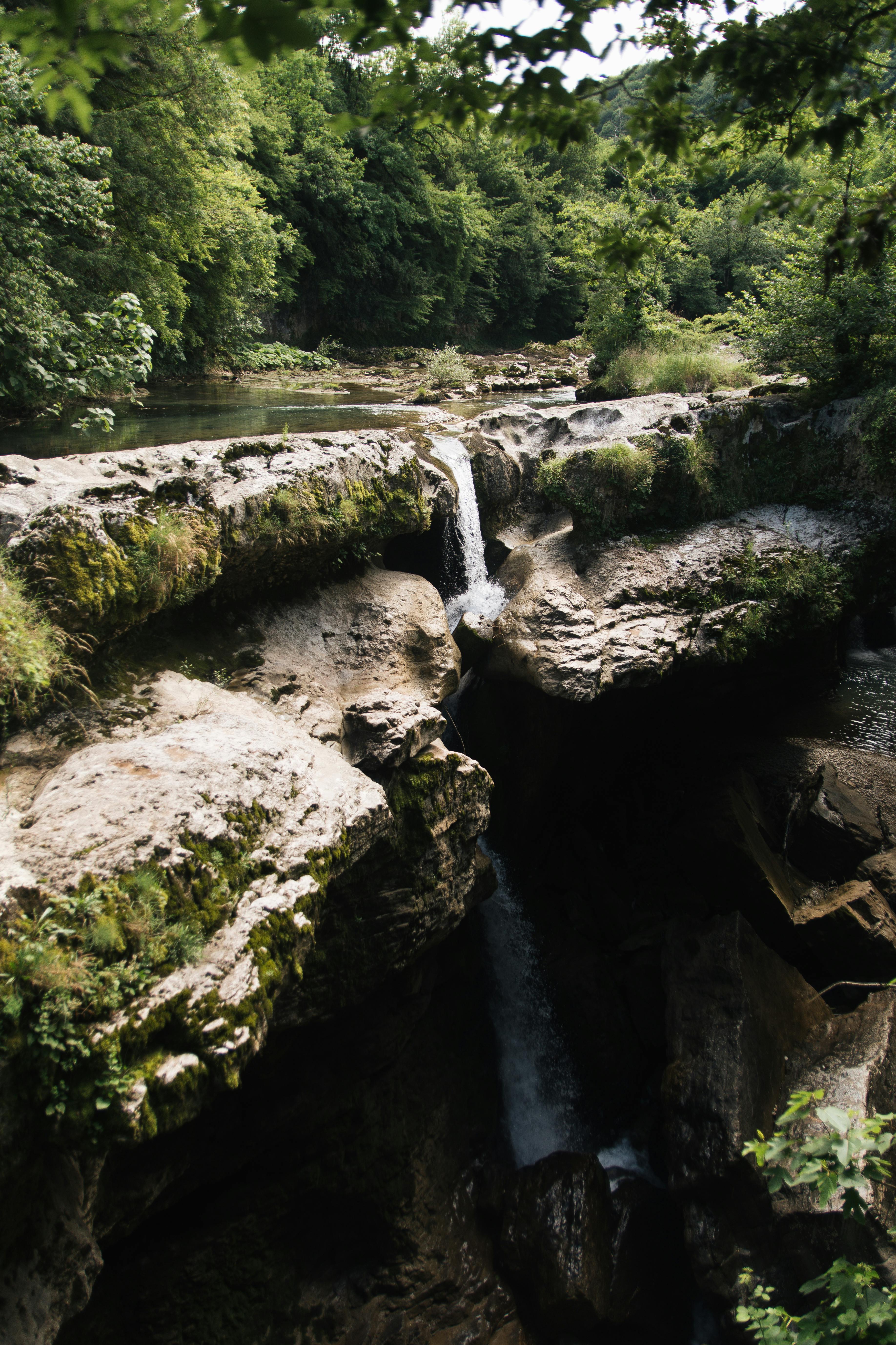 waterfalls in between green trees