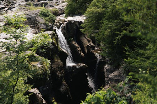 無料 山岳, 森林, 流れる水の無料の写真素材 写真素材