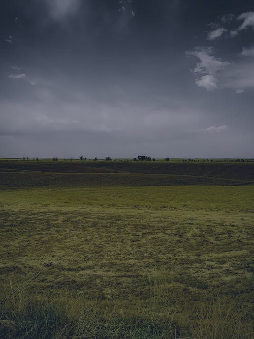 牧場, 田園的, 草原 的 免費圖庫相片