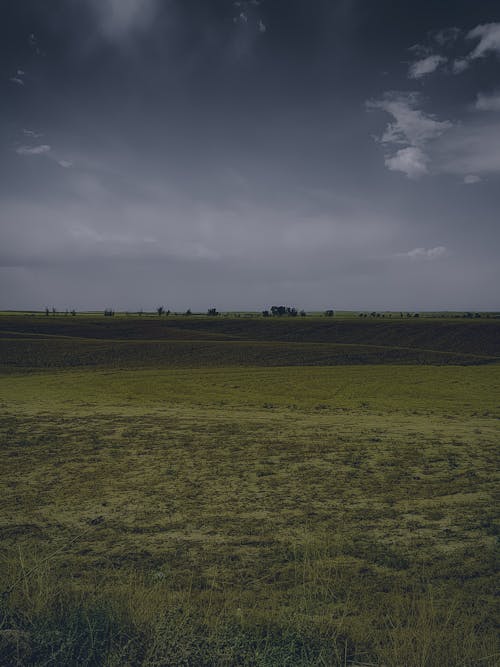 Fotobanka s bezplatnými fotkami na tému dedinský, lúka, pasienok