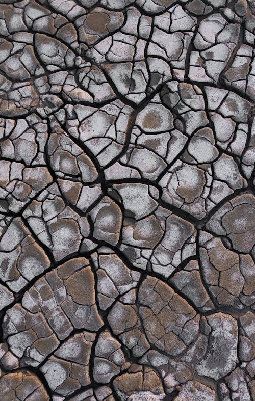 A Brown and White Walkway in Close-up Photography