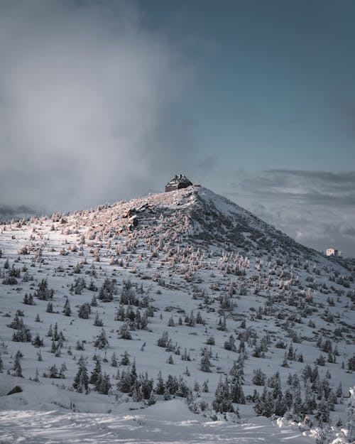 Buildings on Snow Covered Hill