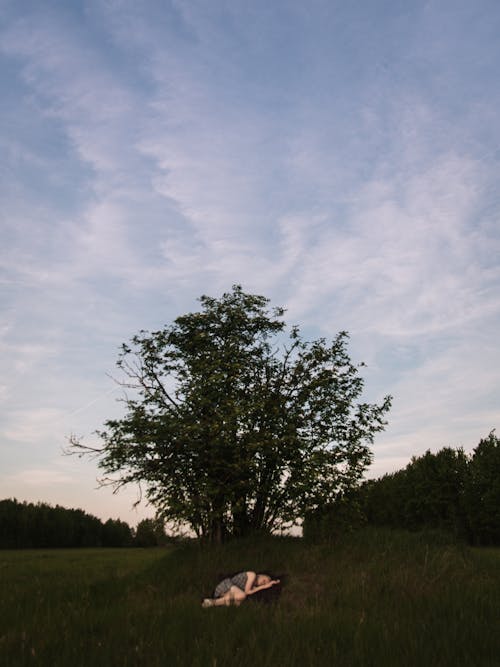 Woman Lying Down near a Green Tree Under White Clouds