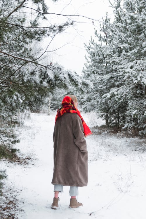 Free Woman Wearing Brown Coat and Red Scarf Stock Photo