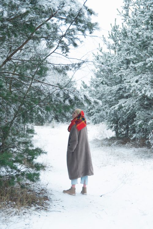 Free A woman in a coat and red scarf walks through a snowy pine forest, creating a serene winter scene. Stock Photo