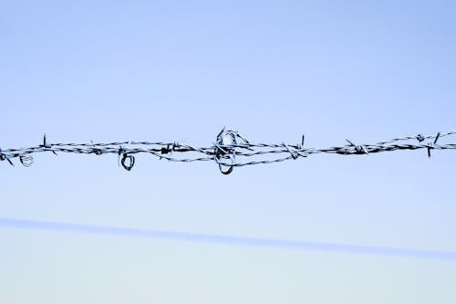 Free Close Up Shot of Barbed Wires Stock Photo