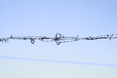 Close Up Shot of Barbed Wires