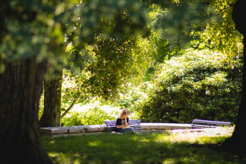 Free A woman reading on a bench surrounded by lush greenery in an Oslo park. Stock Photo