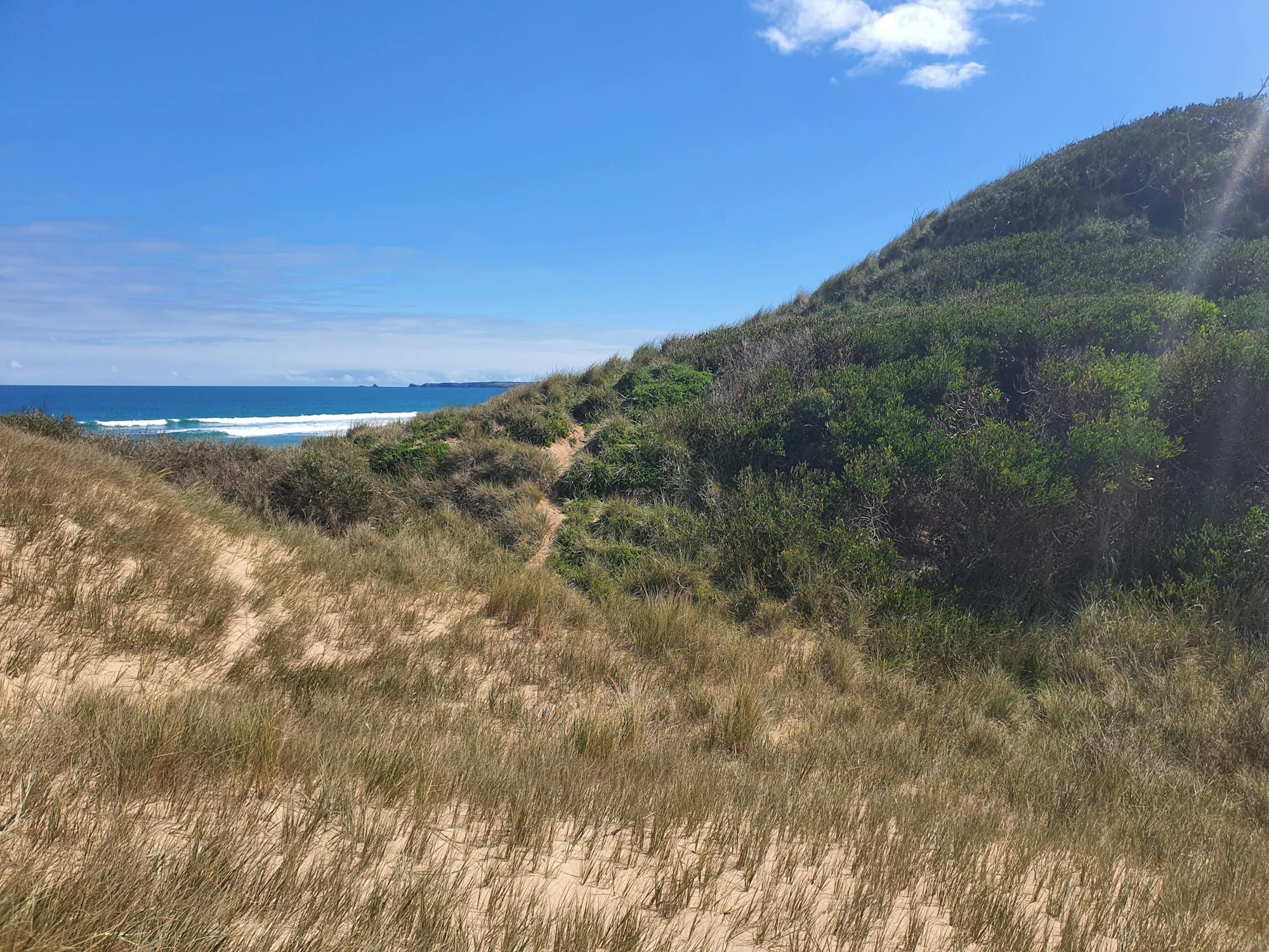 Feedstock procurement