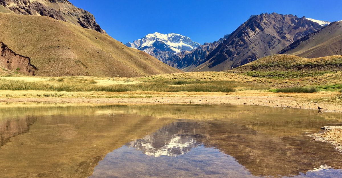 mendoza