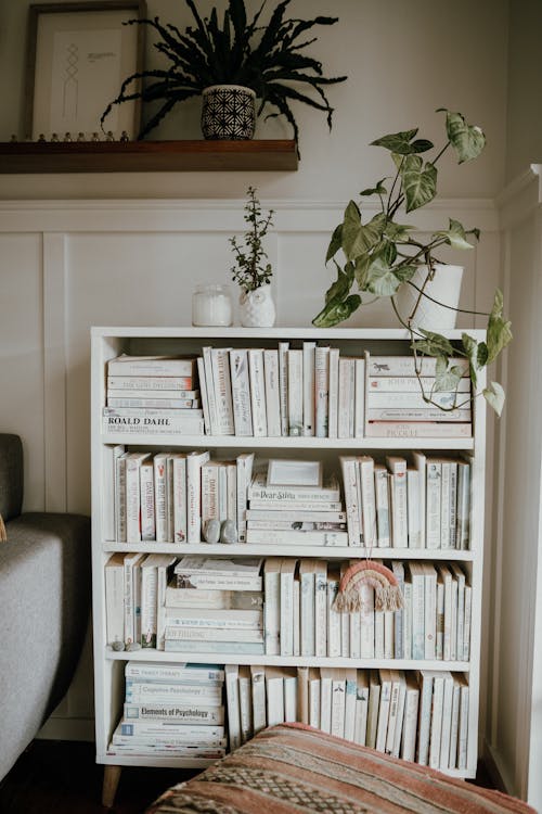 White Wooden Book Shelf With Books · Free Stock Photo