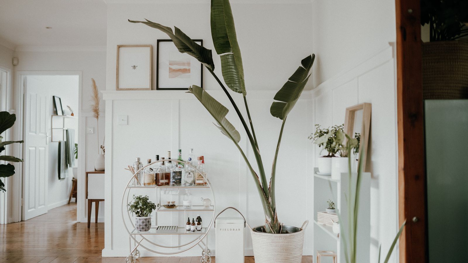 A small bar cart beside a large leafy plant in a minimalist living room