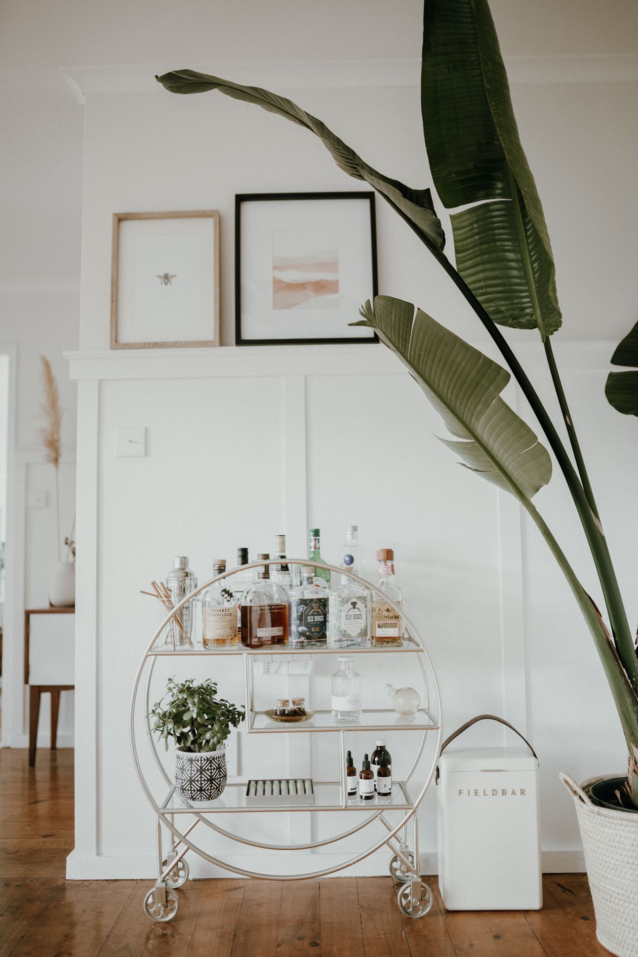 how to style a bar cart: a styled bar cart with bottles and a house plant